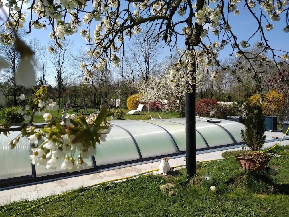Bed and Breakfast La Longere Des Gillettes Bezenet Экстерьер фото