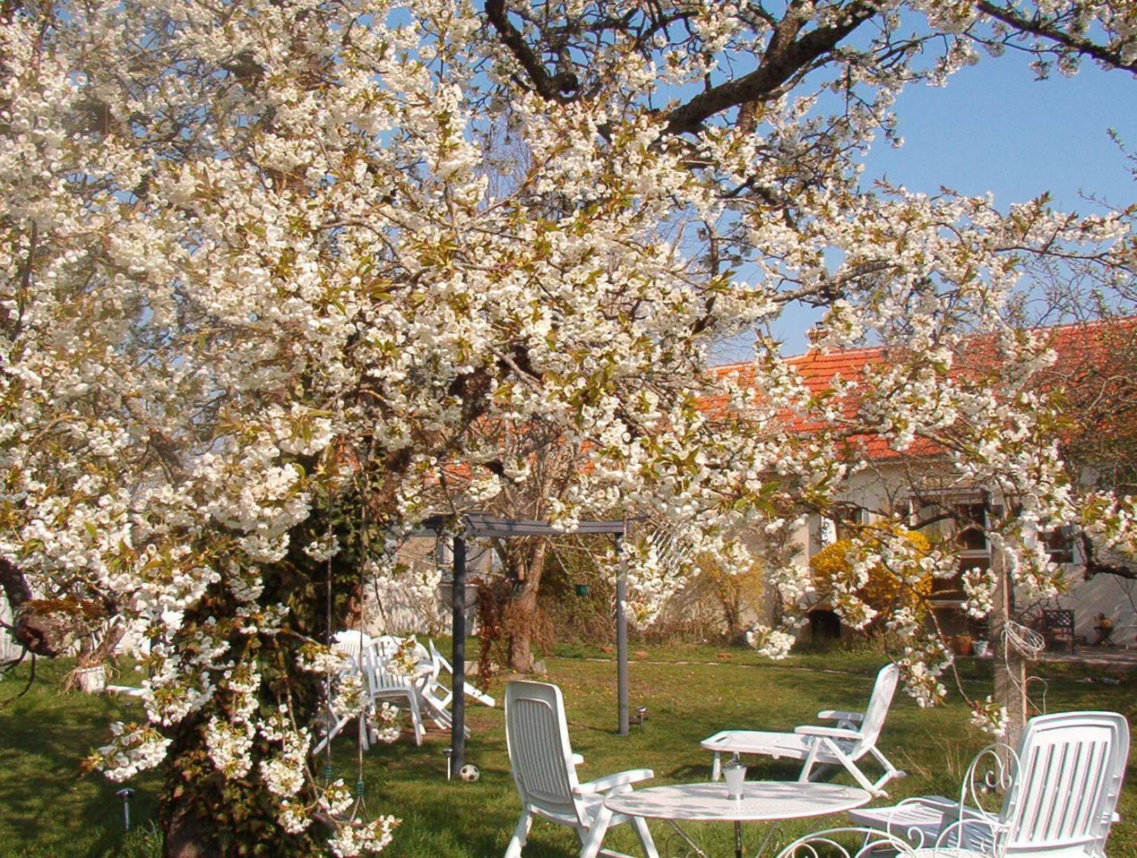 Bed and Breakfast La Longere Des Gillettes Bezenet Экстерьер фото