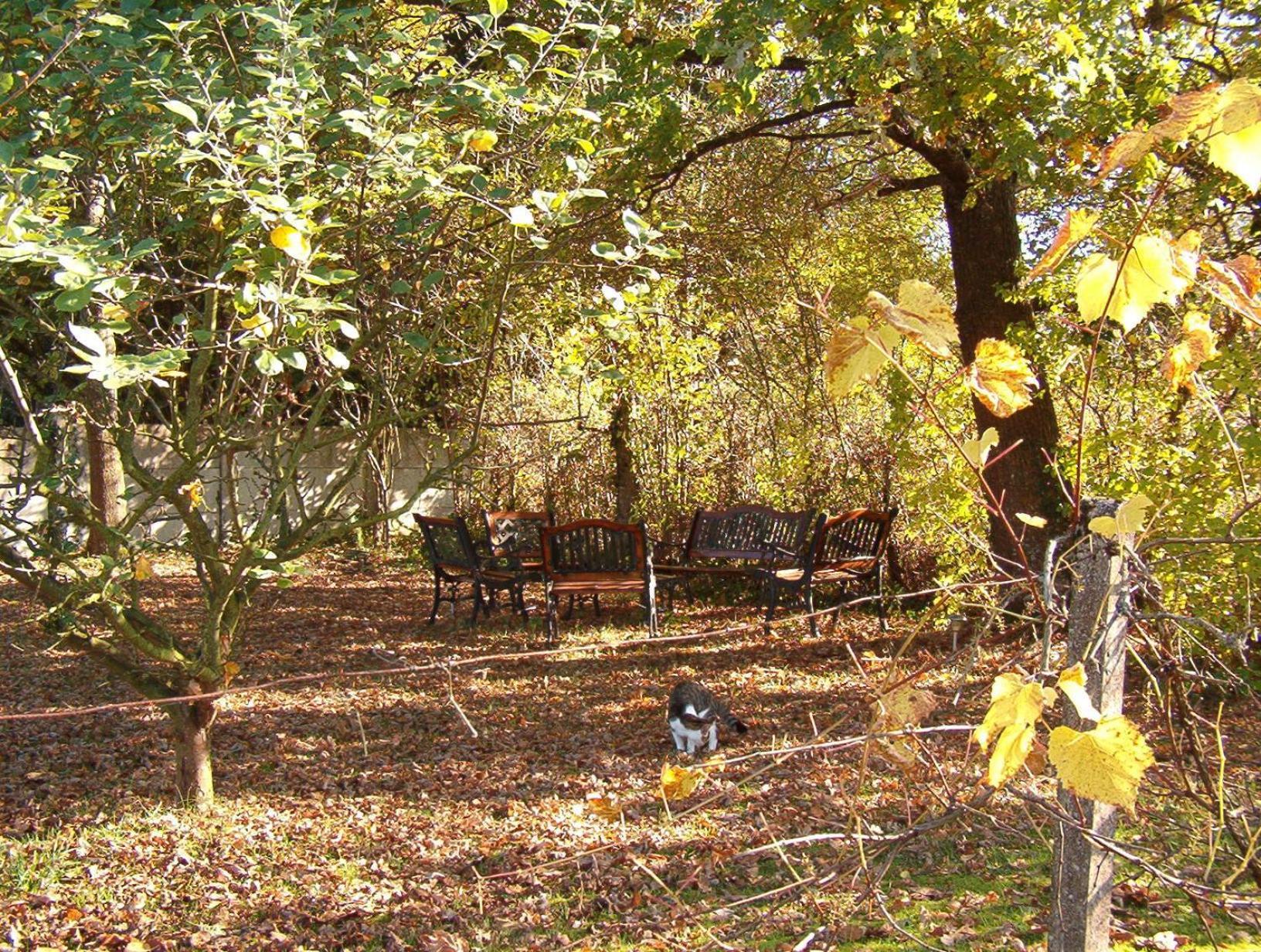 Bed and Breakfast La Longere Des Gillettes Bezenet Экстерьер фото